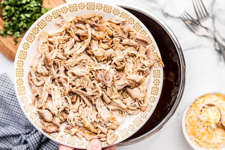 shredded chicken on a plate sitting on top of instant pot