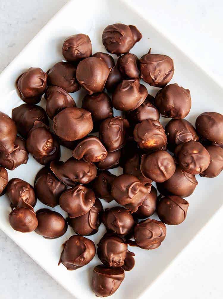 overhead view of white plate of chocolate-covered macadamia nuts