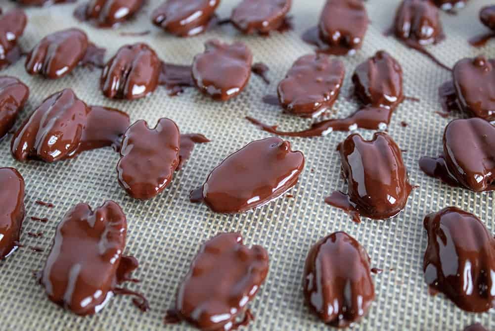 closeup of chocolate covered pecans with several broken in half